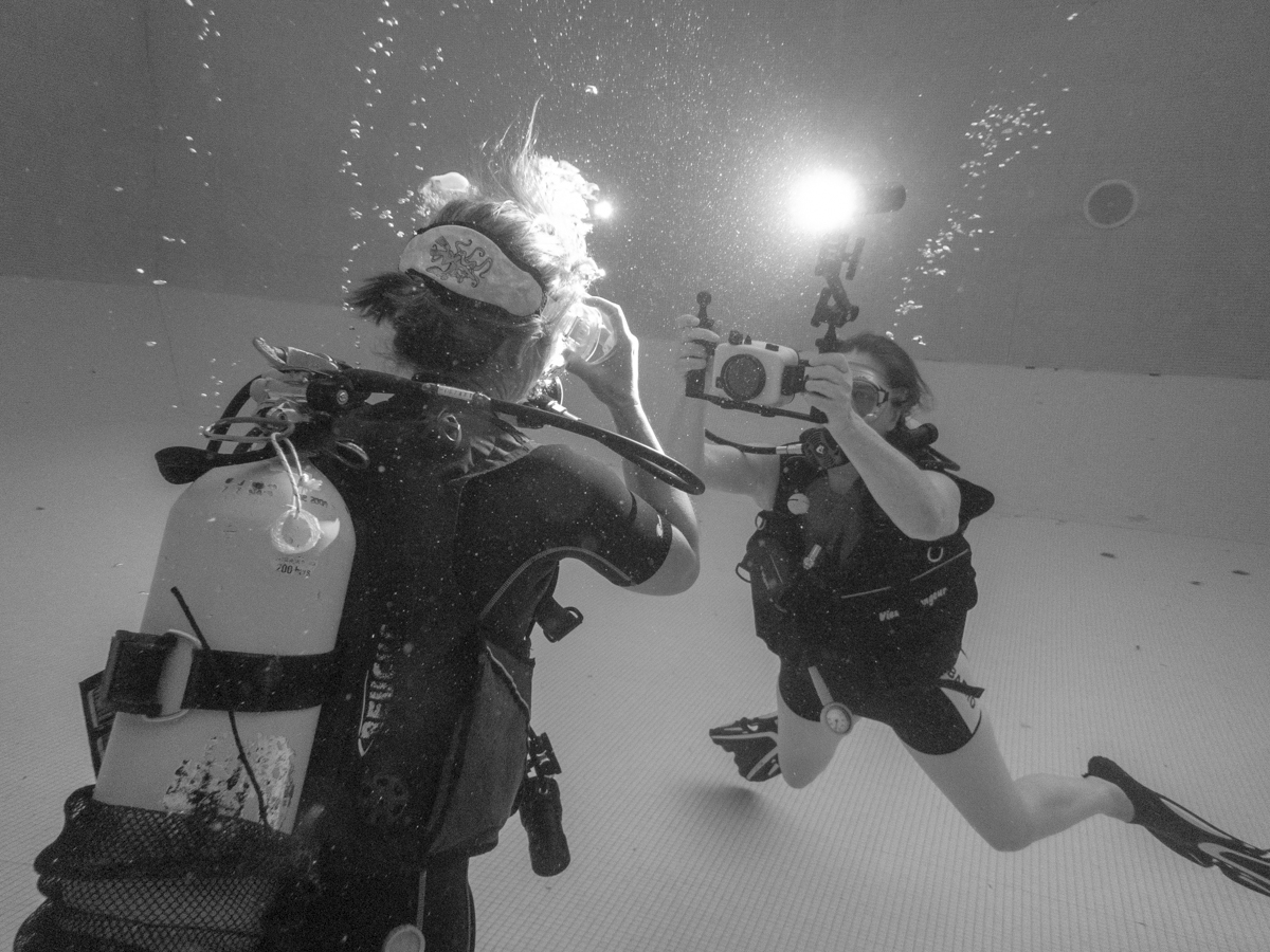Eté 2019 : Baptême Photo en piscine