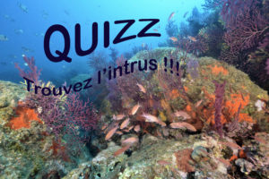Biologie : Quizz Cherchez l’intrus !!