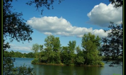 Les sorties lac de l’été 2022