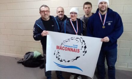 Les flèches du CSM