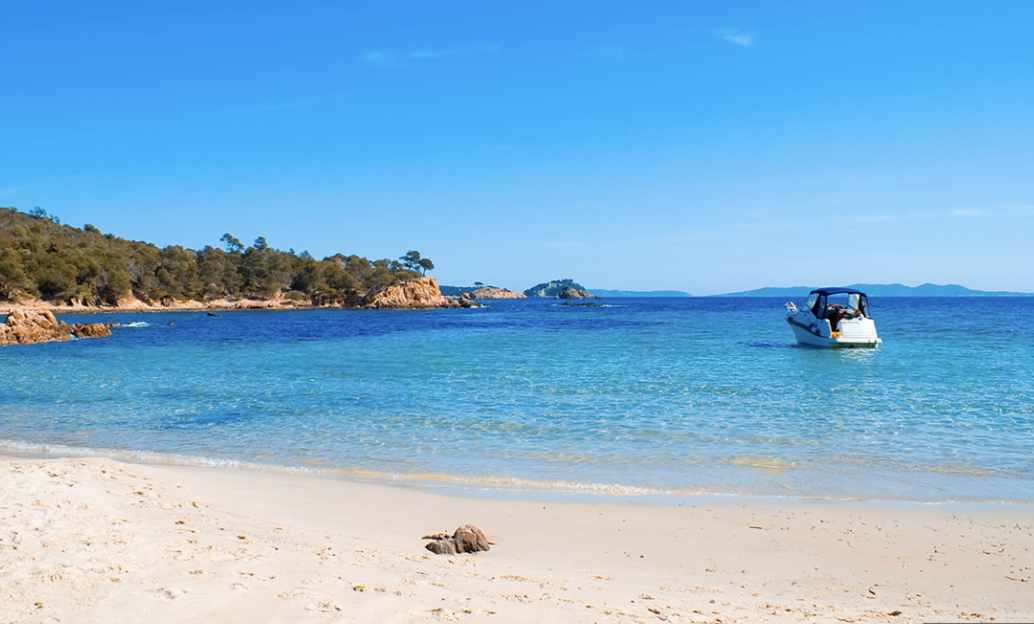 Capture d’écran 2024-12-31 à 12.02.23