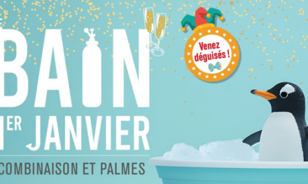 Bain du Nouvel an 2026